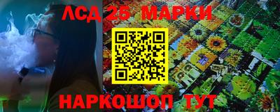 сатива Новодвинск