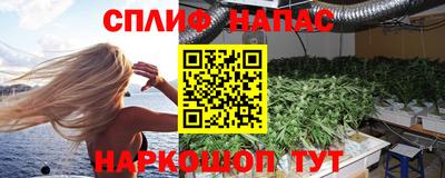 сатива Новодвинск