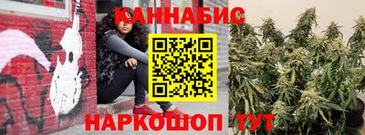 сатива Новодвинск