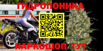 мяу мяу мука Новокубанск