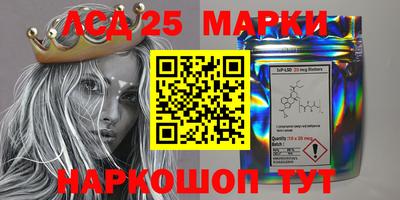 сатива Новодвинск